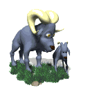 Cabras-16.gif