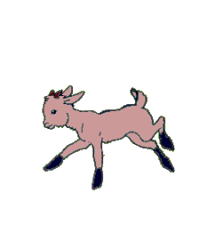Cabras-20.gif