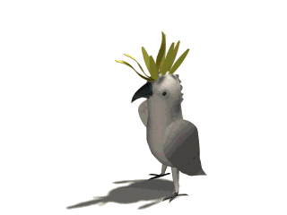 Cacatuas-07.gif