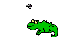 Camaleones-04.gif