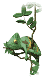 Camaleones-06.gif