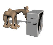 Camellos-17.gif
