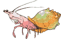 Cangrejo-02.gif