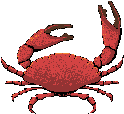 Cangrejo-05.gif