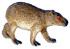 Capibara-03.gif