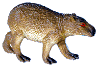 Capibara-04.gif