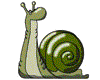 Caracol-05.gif