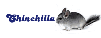 Chinchilla-02.gif