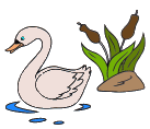 Cisnes-04.gif
