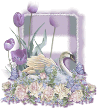Cisnes-10.gif