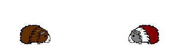 Cobayas-04.gif