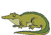 Cocodrilos-05.gif