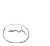 Cocodrilos-34.gif