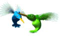 Colibris-08.gif