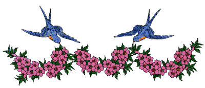 Colibris-14.gif