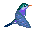 Colibris-17.gif