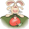 Conejos-15.gif