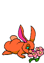 Conejos-16.gif