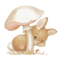 Conejos-31.gif