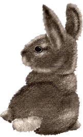 Conejos-44.gif