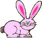 Conejos-52.gif