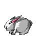 Conejos-53.gif