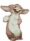 Conejos-60.gif