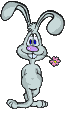 Conejos-66.gif