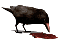 Cuervos-15.gif