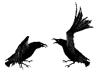 Cuervos-16.gif