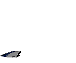 Delfines-18.gif