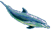 Delfines-20.gif