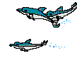 Delfines-28.gif