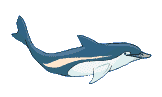 Delfines-30.gif