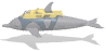 Delfines-34.gif