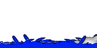 Delfines-43.gif
