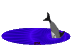Delfines-44.gif