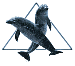 Delfines-46.gif