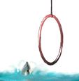 Delfines-47.gif