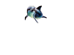 Delfines-49.gif