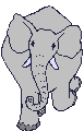 elefante-04.gif