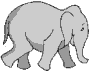 elefante-26.gif