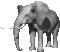 elefante-36.gif