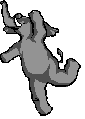 elefante-49.gif