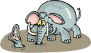 elefante-50.gif