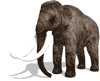 elefante-52.gif
