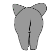 elefante-56.gif