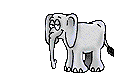 elefante-65.gif