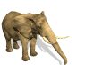 elefante-68.gif