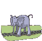 elefante-73.gif
